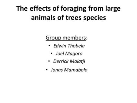 The effects of foraging from large animals of trees species Group members: Edwin Thobela Joel Magoro Derrick Malatji Jonas Mamabolo.