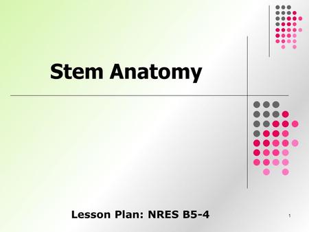 1 Stem Anatomy Lesson Plan: NRES B5-4. 2 Anticipated Problems 1. What are the functions of a stem? 2. What are some of the external structures of stems?