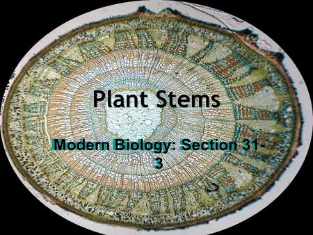 Modern Biology: Section 31-3