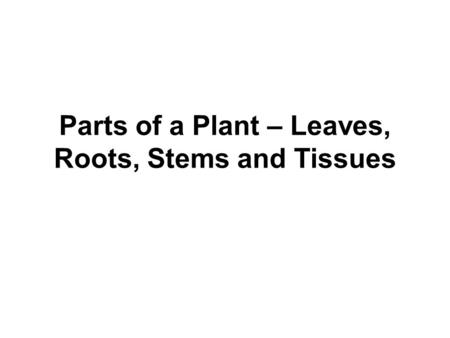 Parts of a Plant – Leaves, Roots, Stems and Tissues