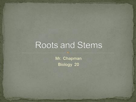 Mr. Chapman Biology 20. Unlike animals and other living organisms, plants can grow for their entire lives. A plant will continue to grow in the direction.