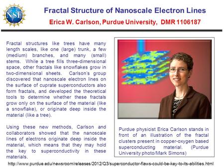 Fractal Structure of Nanoscale Electron Lines Erica W. Carlson, Purdue University, DMR 1106187 Fractal structures like trees have many length scales, like.