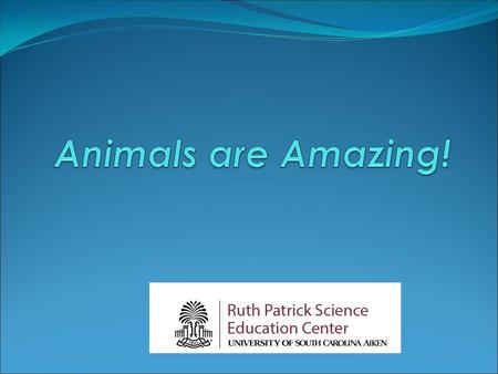 Essential Questions What do all living things need to stay alive? What characteristics of animals help us to sort them into groups? How do animal structures.