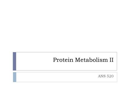 Protein Metabolism II ANS 520.