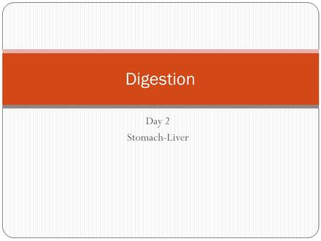 Day 2 Stomach-Liver Digestion. Stomach J-shaped organ Found in upper left portion of abdom. cavity Can hold 1 Liter or more Contains thick folds in lining.