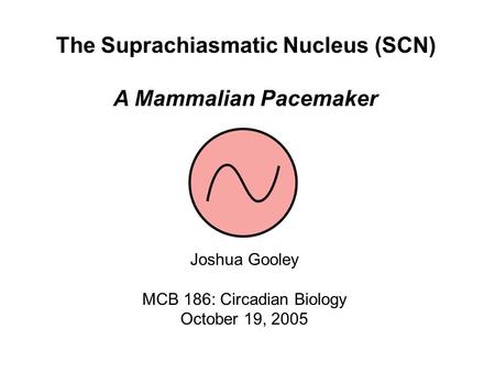 The Suprachiasmatic Nucleus (SCN)