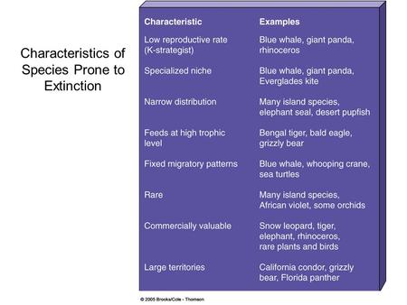 Characteristics of Species Prone to Extinction. Amphibians 38% of US amphibian species in decline Reasons: 1. Habitat Loss 2. Pollution 3. Disease.