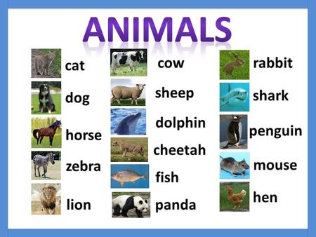 Wild Animals Farm Animals Sea Animals Pets fatthin stripedspotted dangerousfriendly beautifulugly cutescary furrysoft.