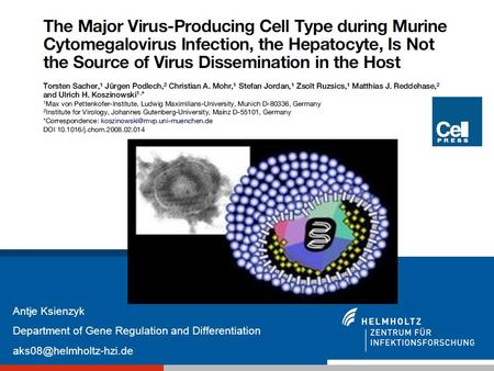 Antje Ksienzyk Department of Gene Regulation and Differentiation