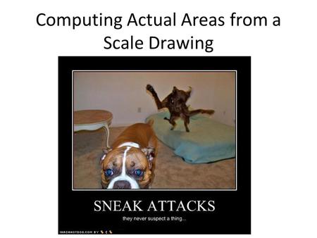 Computing Actual Areas from a Scale Drawing.