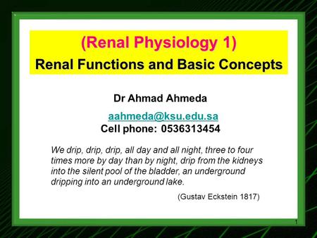 Renal Functions and Basic Concepts