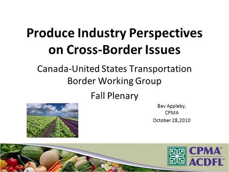 Produce Industry Perspectives on Cross-Border Issues Canada-United States Transportation Border Working Group Fall Plenary Bev Appleby, CPMA October 28,2010.