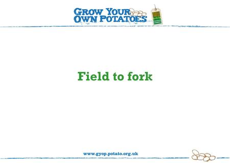 Field to fork. Let’s look at how potatoes get from ‘field to fork’