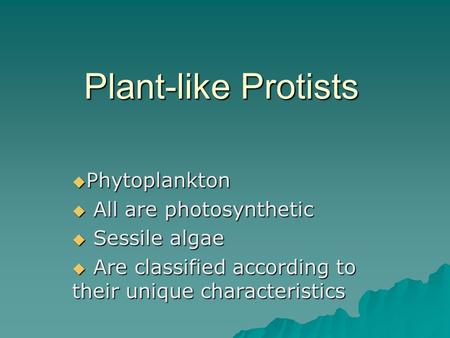 Plant-like Protists Phytoplankton All are photosynthetic Sessile algae