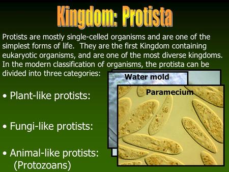 Protists are mostly single-celled organisms and are one of the simplest forms of life. They are the first Kingdom containing eukaryotic organisms, and.