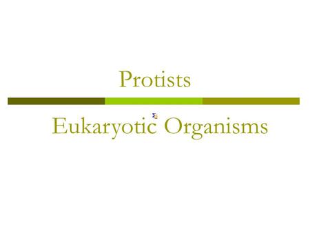 Protists Eukaryotic Organisms. Protists  Protists: Eukaryotic microorganisms in the Protist family.