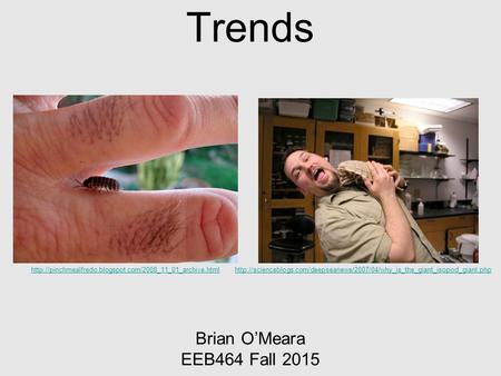 Trends Brian O’Meara EEB464 Fall 2015