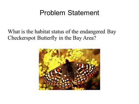 Problem Statement What is the habitat status of the endangered Bay Checkerspot Butterfly in the Bay Area?