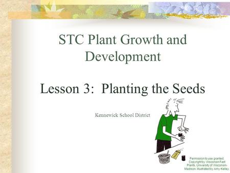 STC Plant Growth and Development Lesson 3: Planting the Seeds Kennewick School District Permission to use granted. Copyright by Wisconsin Fast Plants,