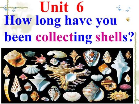 Unit 6 How long have you been collecting shells?.