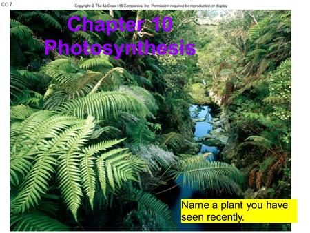 CO 7 Chapter 10 Photosynthesis Name a plant you have seen recently.