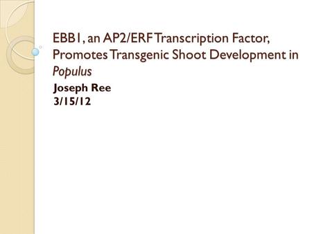 EBB1, an AP2/ERF Transcription Factor, Promotes Transgenic Shoot Development in Populus Joseph Ree 3/15/12.