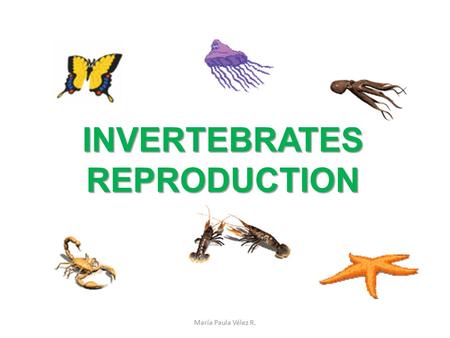 INVERTEBRATES REPRODUCTION