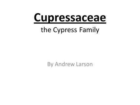 Cupressaceae the Cypress Family