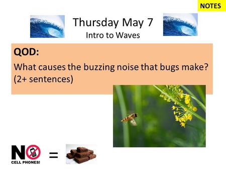 Thursday May 7 Intro to Waves QOD: What causes the buzzing noise that bugs make? (2+ sentences) = NOTES.