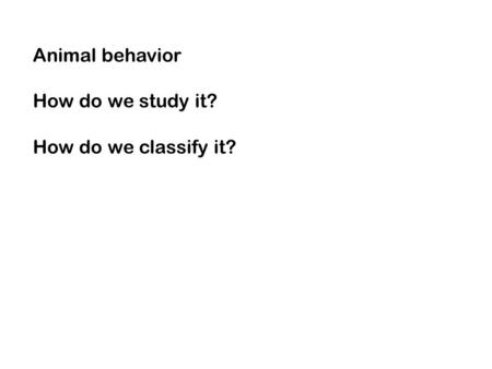 Animal behavior How do we study it? How do we classify it?