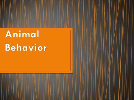 Behavior – the way an organism reacts to change Stimulus – change in the organisms environment (can be inside or outside the organism’s body) Response.