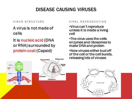 Disease causing viruses