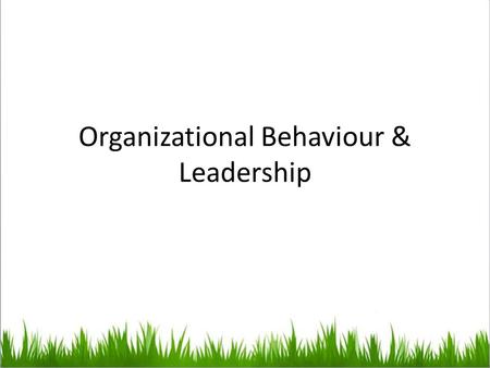 Organizational Behaviour & Leadership. Agenda 1.Leader of the day – $1 a day 2.What is organizational behaviour? 3.Debate – work from home 4.How does.