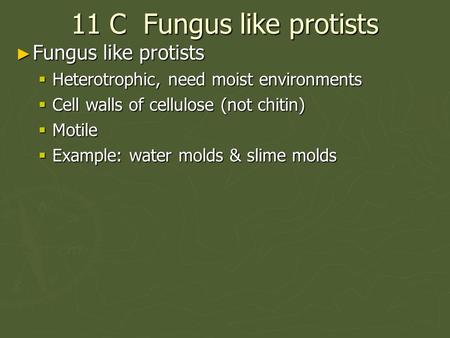 11 C Fungus like protists ► Fungus like protists  Heterotrophic, need moist environments  Cell walls of cellulose (not chitin)  Motile  Example: water.