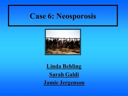 Case 6: Neosporosis Linda Behling Sarah Galdi Jamie Jergenson.