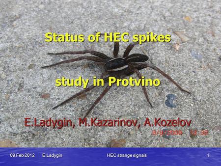 HEC strange signals 1 09 Feb 2012 E.Ladygin Status of HEC spikes study in Protvino E.Ladygin, M.Kazarinov, A.Kozelov.