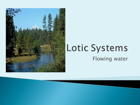 Flowing water.  vitally important geologically, biologically, historically and culturally.  contain only 0.001% of the total amount of the worlds water.