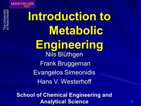 1 Introduction to Metabolic Engineering Nils Blüthgen Frank Bruggeman Evangelos Simeonidis Hans V. Westerhoff School of Chemical Engineering and Analytical.