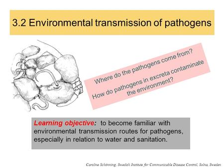 3.2 Environmental transmission of pathogens Where do the pathogens come from? How do pathogens in excreta contaminate the environment? Learning objective: