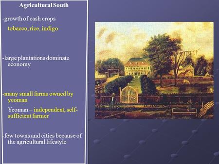 Agricultural South -growth of cash crops tobacco, rice, indigo -large plantations dominate economy -many small farms owned by yeoman Yeoman – independent,