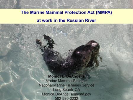 Monica L. DeAngelis Marine Mammal Biologist National Marine Fisheries Service Long Beach, CA 562-980-3232 The Marine Mammal Protection.