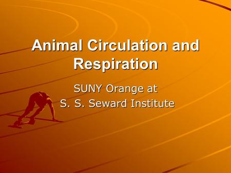 Animal Circulation and Respiration SUNY Orange at S. S. Seward Institute S. S. Seward Institute.