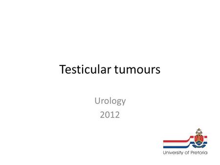 Testicular tumours Urology 2012. Case presentation HistoryHistory 2525 C/o hemoptysis, abdominal discomfort;C/o hemoptysis, abdominal discomfort; History.