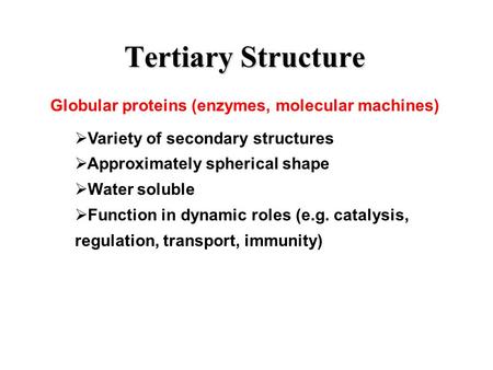 Tertiary Structure Globular proteins (enzymes, molecular machines)  Variety of secondary structures  Approximately spherical shape  Water soluble 