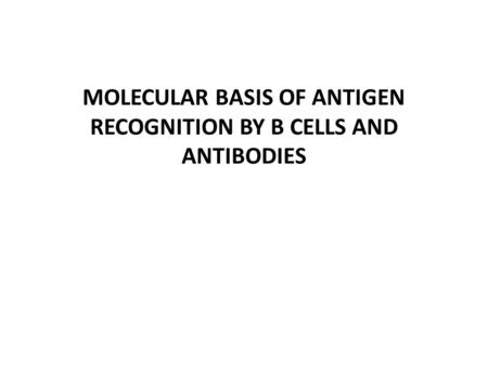 MOLECULAR BASIS OF ANTIGEN RECOGNITION BY B CELLS AND ANTIBODIES.