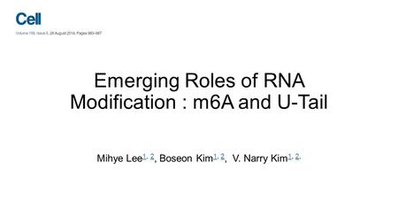 Emerging Roles of RNA Modification : m6A and U-Tail Mihye Lee 1, 2, Boseon Kim 1, 2, V. Narry Kim 1, 2, 12 12 12.