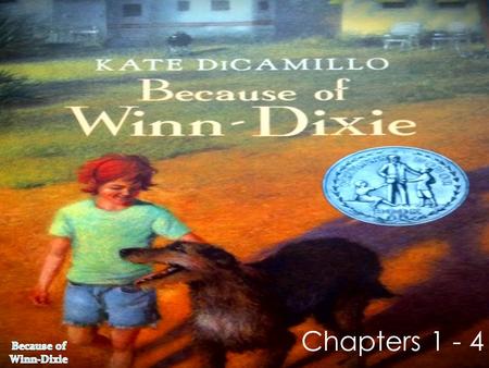 Chapters 1 - 4. skidded (Page 8) Definition: slid, slipped, spun out Sentence : The baseball player skidded into third base before she could be tagged.