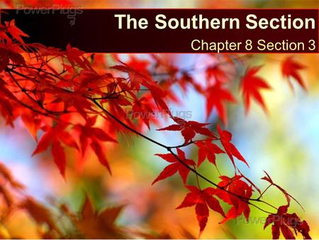 The Southern Section Chapter 8 Section 3.