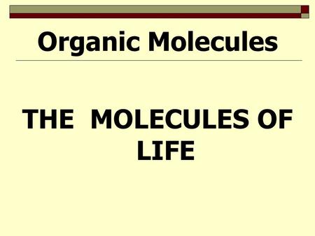 THE MOLECULES OF LIFE Organic Molecules ORGANIC MOLECULES  FOUR MAIN CATEGORIES : carbohydrates: fuel & building material lipids: fats & oils proteins: