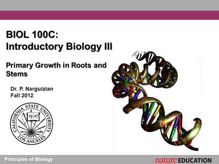 Introductory Biology III